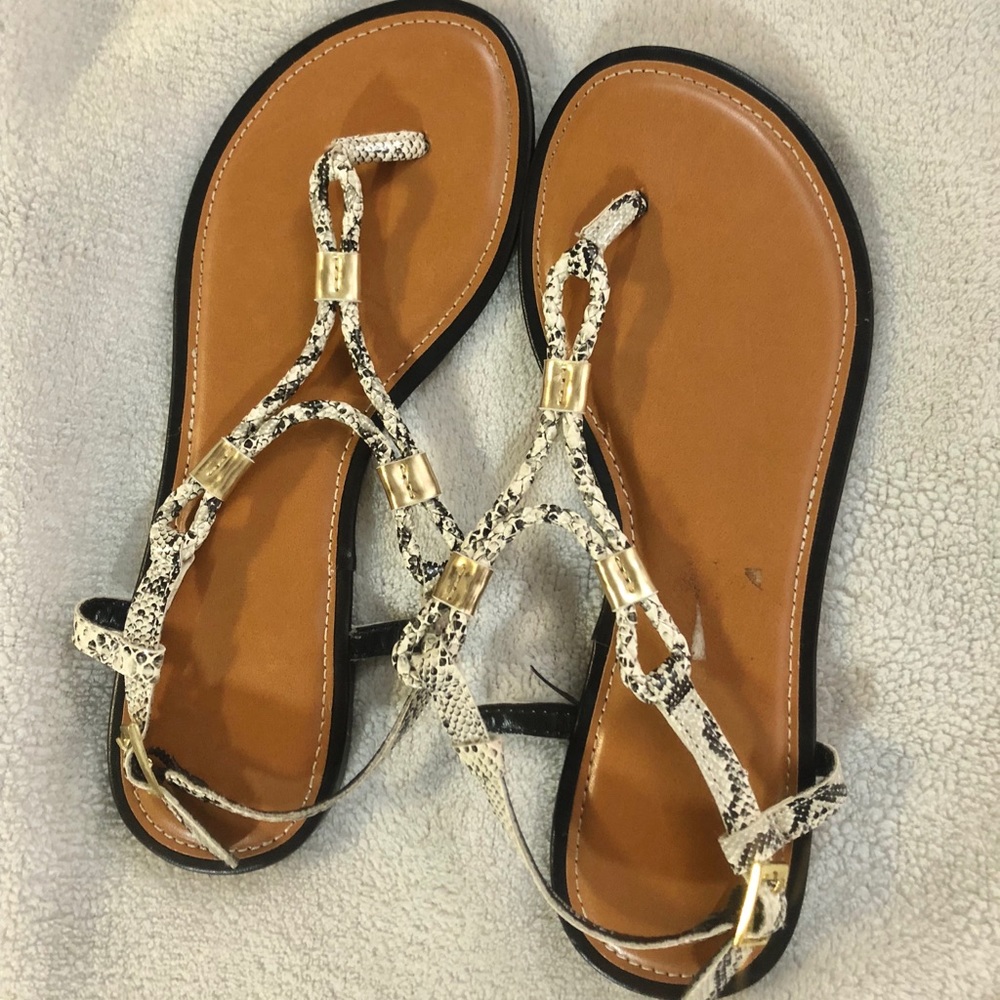 Snake Skin Sandals